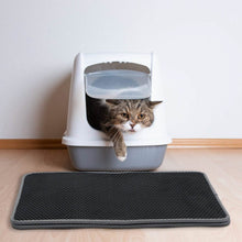 Load image into Gallery viewer, EVA Honeycomb Double Layer Cat Litter Mat