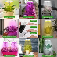 Load image into Gallery viewer, Full Spectrum LED Halo Plant Light With Stand Height Adjustable Auto Timer