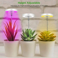 Load image into Gallery viewer, Full Spectrum LED Halo Plant Light With Stand Height Adjustable Auto Timer