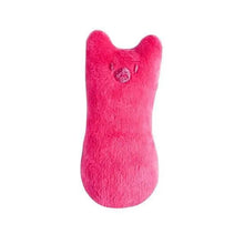 将图片加载到图库查看器,Funny Colorful Teeth Grinding Catnip Toys Cute Kitten Chewing Toy Stuffed Toys For Pets Soft Cat Toys