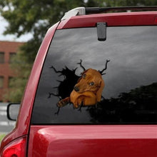 Load image into Gallery viewer, Funny Dog Head In The Crack Vinyl Car Funny Dog Head In The Crack Vinyl Car Stickers Decals Motorcycle Accessories Car-window Decorative Goods Broken Glass Sticker Car Stickers Decals Motorcycle Accessories Car-window Decorative Goods Pvc Car Sticker