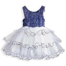 将图片加载到图库查看器,Girls' Ruffle Mesh Embroidered Dress