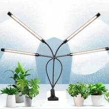 Load image into Gallery viewer, Grow Lights for Seed Starting Auto ON & Off Full Spectrum LED Plant Lights with Timer