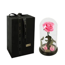 将图片加载到图库查看器,Handmade Preserved Enchanted Rose With Glass Dome on Wood Base - Rose for Christmas ,Valentine's Day