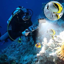 Load image into Gallery viewer, High Power Dimmable Waterproof LED Video Light