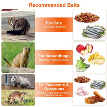 将图片加载到图库查看器,Humane Live Animal Rodent Cage Collapsible Galvanized Wire