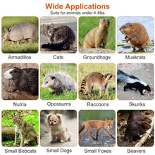 将图片加载到图库查看器,Humane Live Animal Rodent Cage Collapsible Galvanized Wire