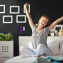 Load image into Gallery viewer, Indoor Plug In Bug Electric Zapper