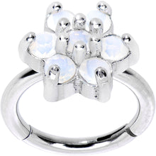 将图片加载到图库查看器,16G 5/16 Clear CZ Gem Hinged Segment Ring