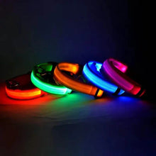 Load image into Gallery viewer, LED Dog Collars Light Adjustable Flashing Luminous Collar Night Anti-Lost