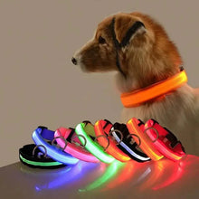 Load image into Gallery viewer, LED Dog Collars Light Adjustable Flashing Luminous Collar Night Anti-Lost