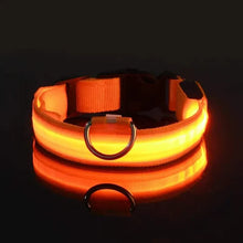 Load image into Gallery viewer, LED Dog Collars Light Adjustable Flashing Luminous Collar Night Anti-Lost