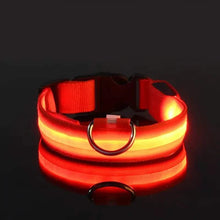 Load image into Gallery viewer, LED Dog Collars Light Adjustable Flashing Luminous Collar Night Anti-Lost