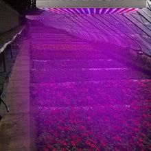 将图片加载到图库查看器,LED Grow Light Full Spectrum Hanging