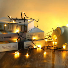 将图片加载到图库查看器,LED Solar Power Fairy String Lights