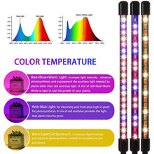 Load image into Gallery viewer, LEOTER Grow Light for Indoor Plants
