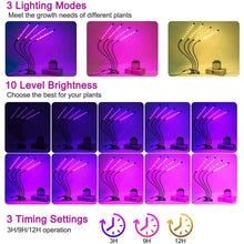 Load image into Gallery viewer, LEOTER Grow Light for Indoor Plants