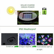 Load image into Gallery viewer, Lily Flower Multi-Color Changing LED Solar Powered Lights