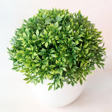 Load image into Gallery viewer, Love Art Set of 6 Small Artificial Decor Bonsai Potted Plastic Fake Flowers for Home Garden Office Desk Wall Book Shelf Decor Room Hotel Decor