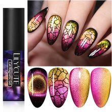将图片加载到图库查看器,Magnetic Nail Gel Polish UV LED Popular Colorful New Fashion Charming Effect Luxury Drawing Design For Women and Girls