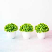 Load image into Gallery viewer, Mini Cute Artificial Bonsai Potted Plastic 15x16cm Friend's Gift Fake Decor with Plastic Pots Fake Flowers Arrangements for Home Decoration