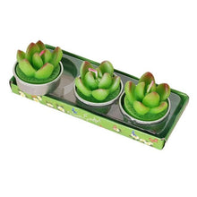 将图片加载到图库查看器,Mini Delicate Succulent Plants Candles Cactus Tea light Candles Handmade Delicate Succulent Cactus Candles Flameless Aromatherapy Candles For Birthday Party Wedding Spa Handmade Aromatherapy Candles For Birthday Party Wedding Home Decor Plant Candle
