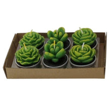 将图片加载到图库查看器,Mini Delicate Succulent Plants Candles Cactus Tea light Candles Handmade Delicate Succulent Cactus Candles Flameless Aromatherapy Candles For Birthday Party Wedding Spa Handmade Aromatherapy Candles For Birthday Party Wedding Home Decor Plant Candle