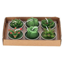 将图片加载到图库查看器,Mini Delicate Succulent Plants Candles Cactus Tea light Candles Handmade Delicate Succulent Cactus Candles Flameless Aromatherapy Candles For Birthday Party Wedding Spa Handmade Aromatherapy Candles For Birthday Party Wedding Home Decor Plant Candle