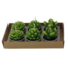 将图片加载到图库查看器,Mini Delicate Succulent Plants Candles Cactus Tea light Candles Handmade Delicate Succulent Cactus Candles Flameless Aromatherapy Candles For Birthday Party Wedding Spa Handmade Aromatherapy Candles For Birthday Party Wedding Home Decor Plant Candle