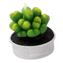 将图片加载到图库查看器,Mini Delicate Succulent Plants Candles Cactus Tea light Candles Handmade Delicate Succulent Cactus Candles Flameless Aromatherapy Candles For Birthday Party Wedding Spa Handmade Aromatherapy Candles For Birthday Party Wedding Home Decor Plant Candle