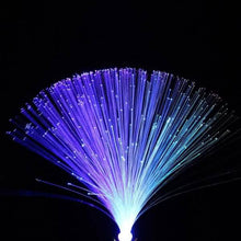 将图片加载到图库查看器,Multicolor LED Fiber Optic Light Lamp
