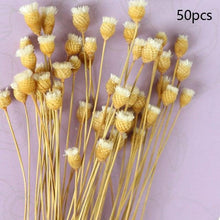 Load image into Gallery viewer, Natural Gypsophila Dried Flowers Mini Babysbreath Flower Preserve Floral Decor Bouquet Wedding Party Home Backdrop Decor 12cm