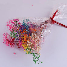 Load image into Gallery viewer, Natural Gypsophila Dried Flowers Mini Babysbreath Flower Preserve Floral Decor Bouquet Wedding Party Home Backdrop Decor 12cm