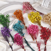 Load image into Gallery viewer, Natural Gypsophila Dried Flowers Mini Babysbreath Flower Preserve Floral Decor Bouquet Wedding Party Home Backdrop Decor 12cm