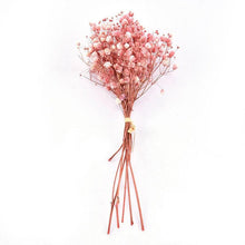 Load image into Gallery viewer, Natural Gypsophila Dried Flowers Mini Babysbreath Flower Preserve Floral Decor Bouquet Wedding Party Home Backdrop Decor 12cm