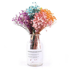 Load image into Gallery viewer, Natural Gypsophila Dried Flowers Mini Babysbreath Flower Preserve Floral Decor Bouquet Wedding Party Home Backdrop Decor 12cm