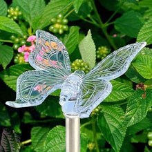 Load image into Gallery viewer, New Decorative Solar Outdoor Lights