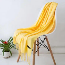 Load image into Gallery viewer, New Stylish Winter Scarf For Ladies Shawls And Wraps Neck Scarves Women Female Stoles Casual Wear Pashmina Scarf and Shawl Soft Women Pashminas