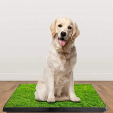 将图片加载到图库查看器,Pet Loo Portable Indoor/Outdoor Pet Potty