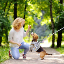 Load image into Gallery viewer, Pet Mesh Harness Dog Leash Puppy Vest