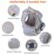 Load image into Gallery viewer, Pet Mesh Harness Dog Leash Puppy Vest