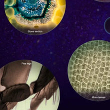 Load image into Gallery viewer, Portable Handheld Mini Microscope Toy