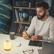 将图片加载到图库查看器,Portable Table Bedside Lamps
