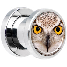 Load image into Gallery viewer, Full Color Owl Steel Screw Fit Plug Set 0G