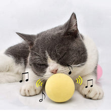 Load image into Gallery viewer, Smart Cat Toys Ball Catnip Cat Training Toy Pet Playing Ball Pet Products Toy for Cats Interactive Chirping Balls Cat Kicker Toys Fun Catnip Toys for Cat Exercise