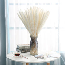 将图片加载到图库查看器,30pcs Natural Dried Pampas Grass Bouquet Pampas Grass Reeds Flowers Bulrush Bouquets Durable For for Vase Artificial Grass Room Décor Wedding Decorations
