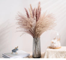 将图片加载到图库查看器,30pcs Natural Dried Pampas Grass Bouquet Pampas Grass Reeds Flowers Bulrush Bouquets Durable For for Vase Artificial Grass Room Décor Wedding Decorations
