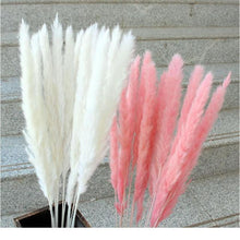 将图片加载到图库查看器,30pcs Natural Dried Pampas Grass Bouquet Pampas Grass Reeds Flowers Bulrush Bouquets Durable For for Vase Artificial Grass Room Décor Wedding Decorations