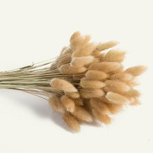 将图片加载到图库查看器,30pcs Natural Dried Pampas Grass Bouquet Pampas Grass Reeds Flowers Bulrush Bouquets Durable For for Vase Artificial Grass Room Décor Wedding Decorations