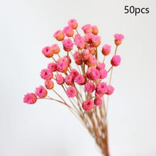 Load image into Gallery viewer, Natural Gypsophila Dried Flowers Mini Babysbreath Flower Preserve Floral Decor Bouquet Wedding Party Home Backdrop Decor 12cm